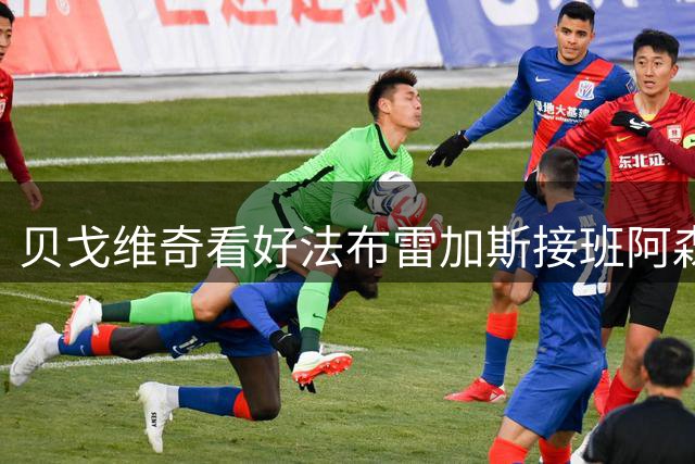 贝戈维奇看好法布雷加斯接班阿森纳帅印